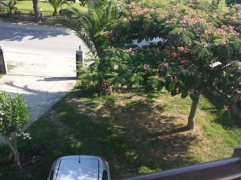 267.jpg